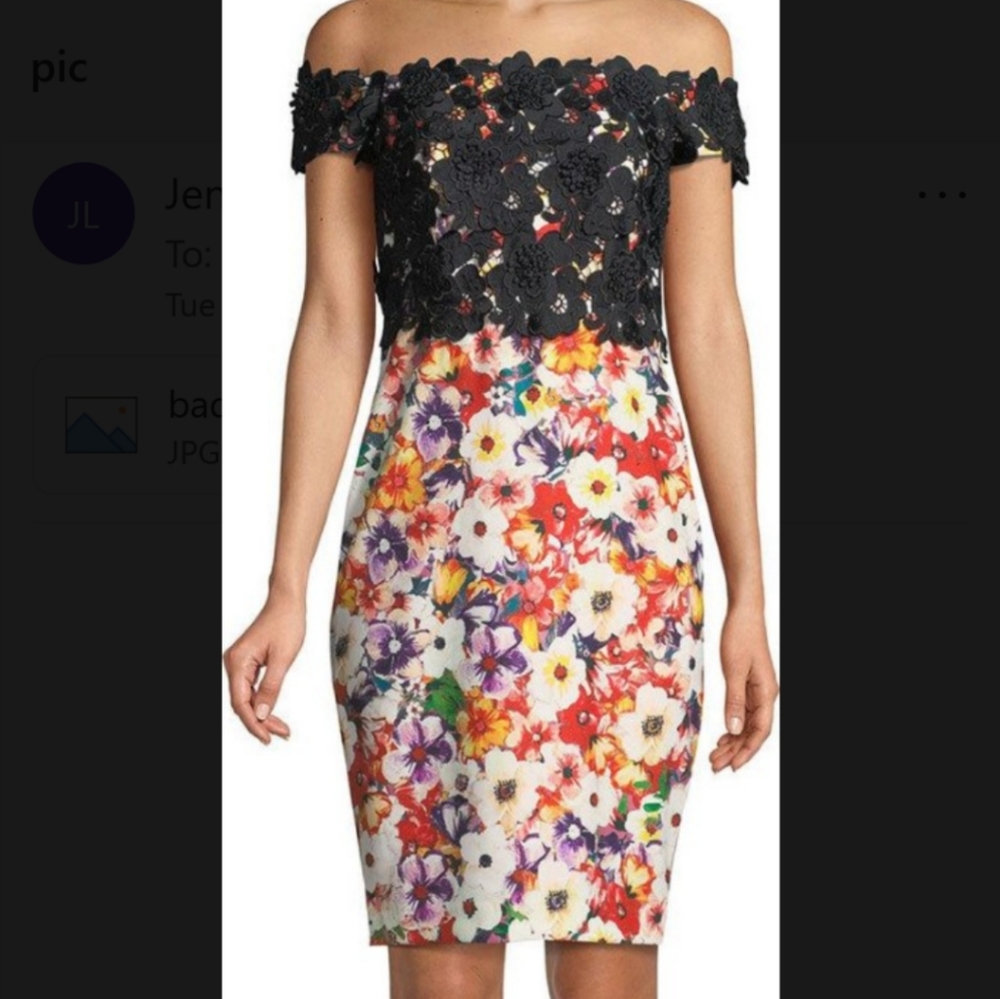 Badgley Mischka dress